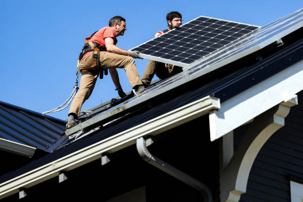 Best Roof Moss and Algae Removal  in Cleveland, GA